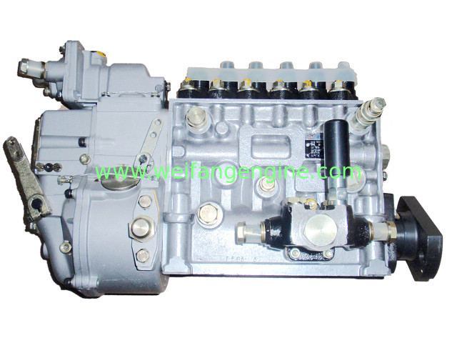 Fuel pump for Weifang diesel Engine 295/495/4100/4105/6105/6113/6126 ...