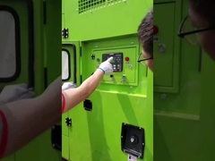 Diesel generator professional manufacture